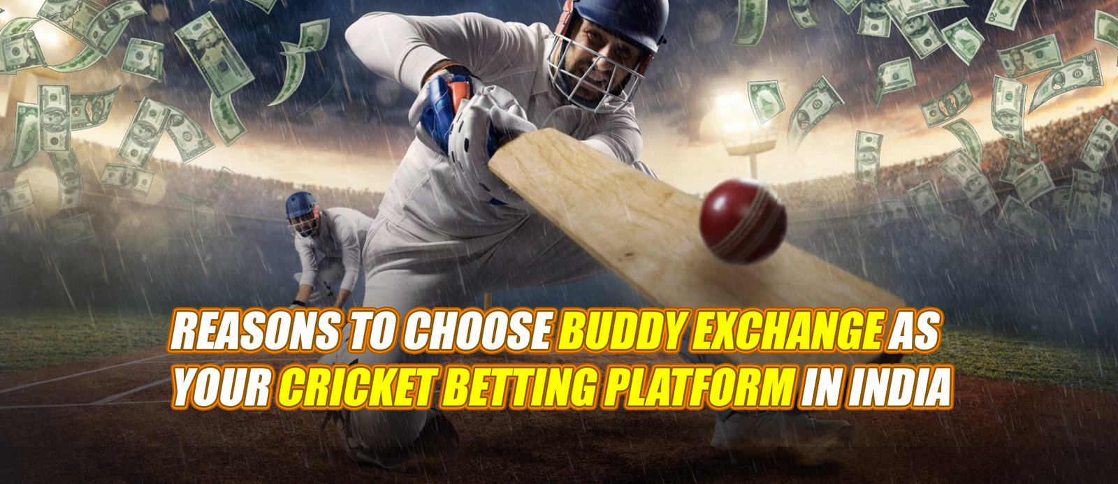 Reasons to choose Buddy Exchange as your Cricket Betting Platform in India 