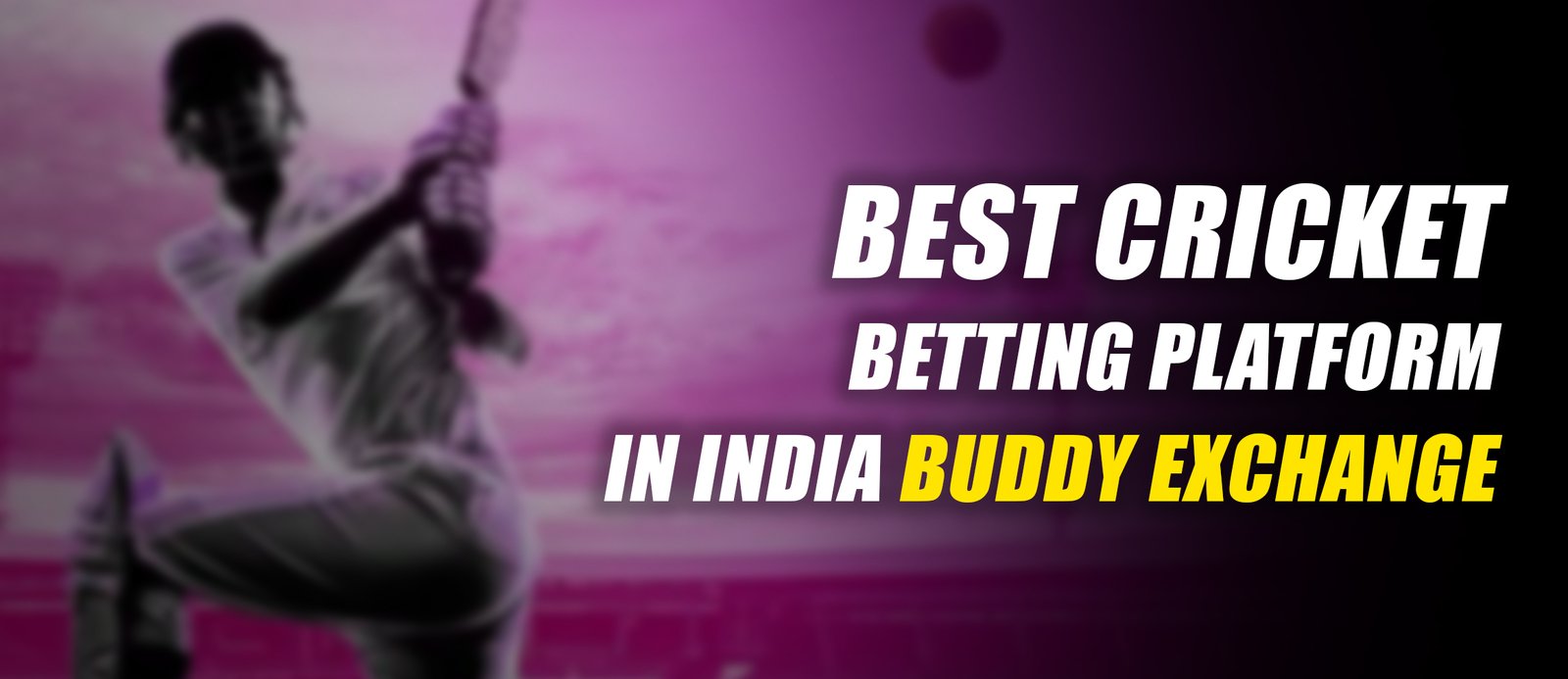 Best Cricket Betting Platform in India – Buddy Exchange